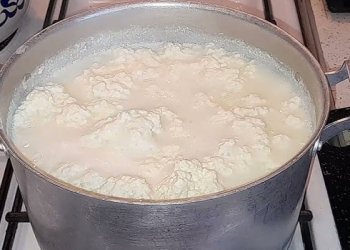 Südün çürüməsinin əsas səbəbləri