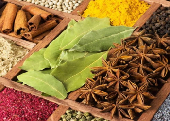 Mətbəxdə balansın sirri: ədviyyatları düzgün seçək