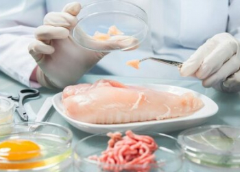 Qida konservantlarında diabet riski varmı?