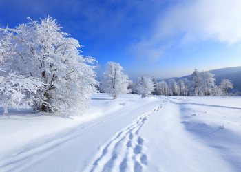Terapevt qış gəzintisinin optimal müddətini açıqladı
