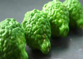 Çay deyil, meyvədir