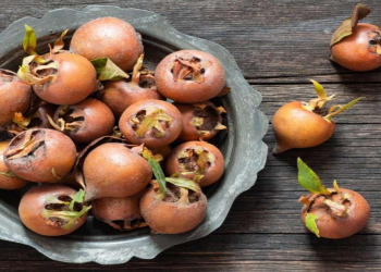 Əzgilin bu faydaları varmış...