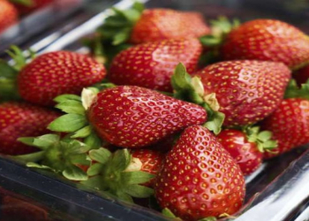 Çiyələk və alma sevənlərə ciddi xəbərdarlıq