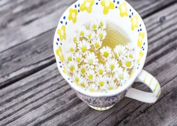 Təhlükəli xəstəliklərdən qoruyan – Ucuz çay