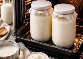 Qatıq sobada necə mayalandırılır?