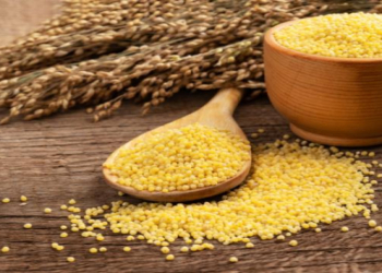 Gözəllik və sağlamlıq üçün vacib olan dənli bitki