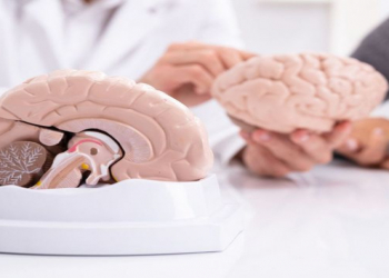 Beyin üçün zərərli qida vərdişləri