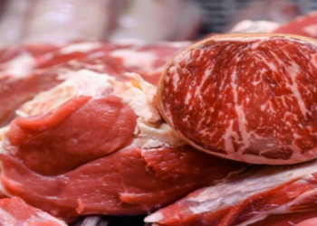 Qırmızı ət kimlər üçün zərərlidir?