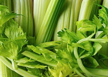 Kərəviz faydaları nələrdir?