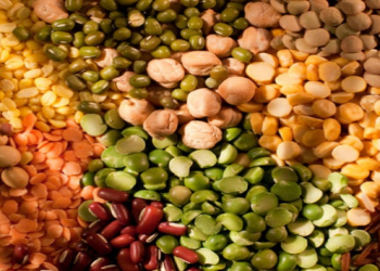 Həkim mərcimək, noxud və yaşıl noxuddan hazırlanan ən faydalı üç yeməyi açıqladı