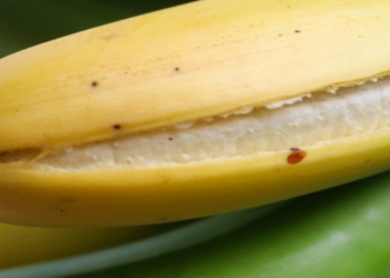 Bananı nə zaman yemək olar, nə zaman atmaq lazımdır