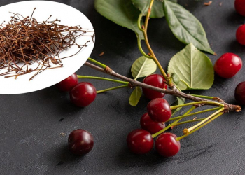 Hansı bitki böyrək daşlarını əridir?