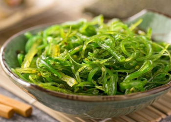 Dəniz yosunları: gələcəyin mineral anbarı