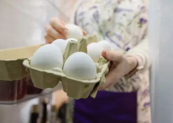 Yumurtaları uzun müddət saxlamağın yolu