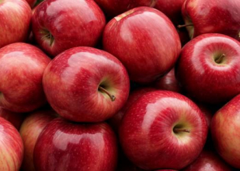 Qırmızı almanın faydaları nələrdir?