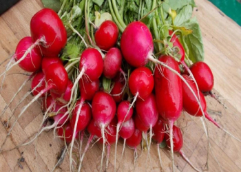 Turpun keyfiyyətini necə müəyyən etmək olar?