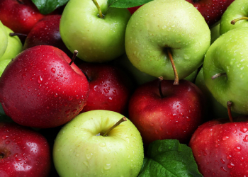 Alma və su ən sağlam seçimdir – mütəxəssis bahalı içkilərə aydınlıq gətirdi