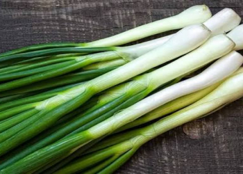 Göy soğanın faydaları