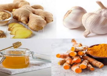 Bəlğəmgətirici təsir göstərən otlar hansılardır?