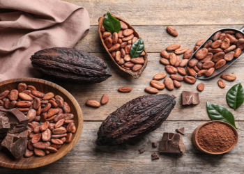 Kakaonun beynin fəaliyyətinə təsir edən gözlənilməz effekti aşkar olunub