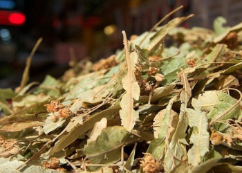 Hər gün bir fincan cökə çayı içməyin möcüzəvi təsirləri