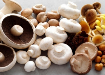 Göbələklərin gizli dünyası: bitki mənşəli protein və vitamin D