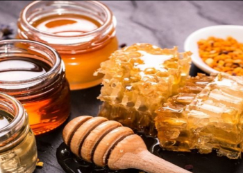 Təbiətin apteki olan bal və arı məhsulları