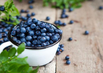 Qaragilə beyin fəaliyyətini gücləndirən təbii mənbə kimi