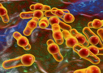 Evdə konservləşdirmə təhlükəsi: botulizm riski tam aradan qaldırıla bilmir