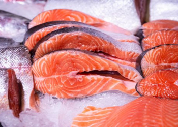 Hansı balıq daha çox Omeqa-3 ehtiva edir?