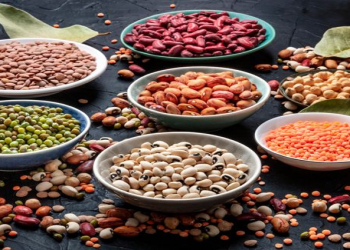 Uzunömürlülük üçün ideal menyu – sağlam həyatın qida sirrləri