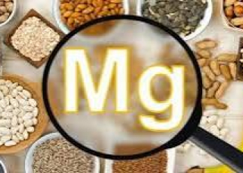 Maqnezium nə üçün önəmlidir?