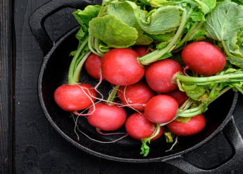 Turpun hansı xəstəliklərdə yeyilməməsi olduğu açıqlandı