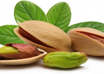 İnsanı xoşbəxt edən qidalar məlum oldu