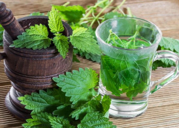 Bu bitki niyə “yandırır” və necə düzgün istifadə etməli