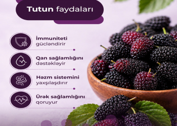 Tutun faydaları