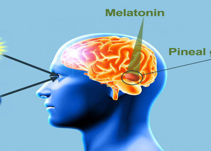 Melatoninin nədır?
