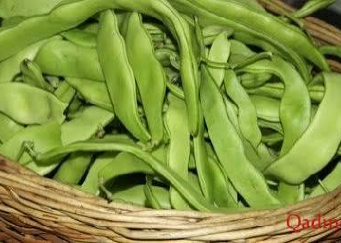 Yaşıl lobyada hansı vitaminlər olur?