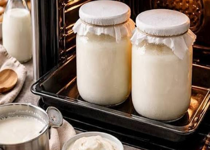 Qatıq sobada necə mayalandırılır?