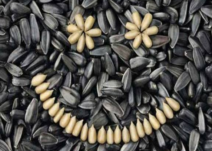 Günəbaxan tumu dəri sağlamlığını gücləndirir