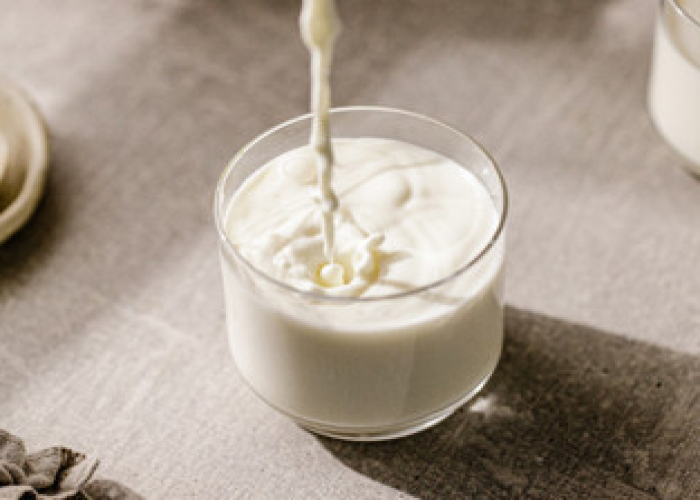 Süd məhsullarından niyə çox istifadə etməliyik?