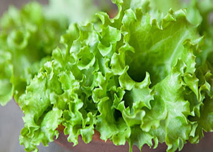 Kahının faydaları nələrdir?