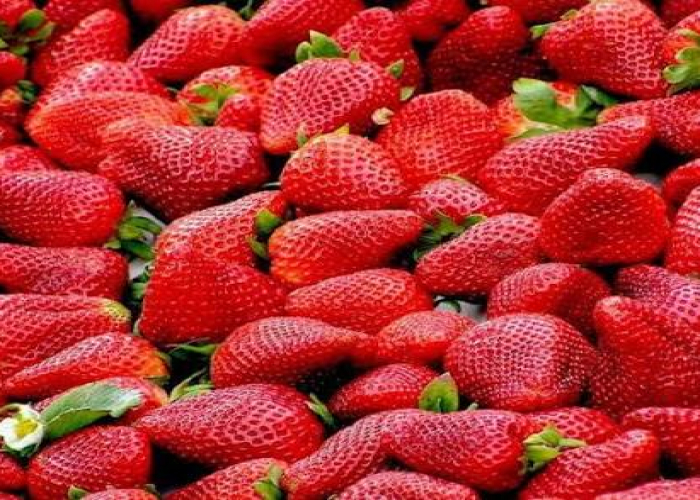 Çiyələk pestisid qalıqları ehtiva edirmi?