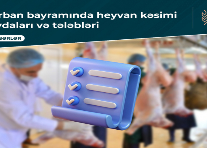 Qurban bayramında heyvan kəsimi qaydaları və tələbləri